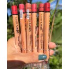 Kit 12 Lápis Labial Sarah's Beauty