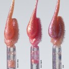 Gloss Labial Comfort Bomb Shine Joker Unicorn Glow Mahav
