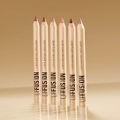 Kit 6 Lápis Batom Cintilante Lip Fusion Dia a Dia Mahav